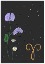 将图片加载到图库查看器,Aries Original Artwork