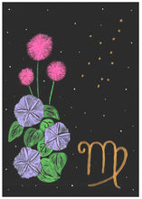 将图片加载到图库查看器,Virgo original art