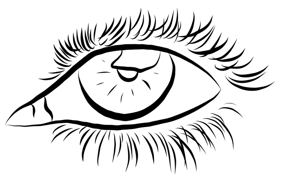 Black vector eye in white background, Carla dos Santos vision
